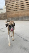 LILA Image 6